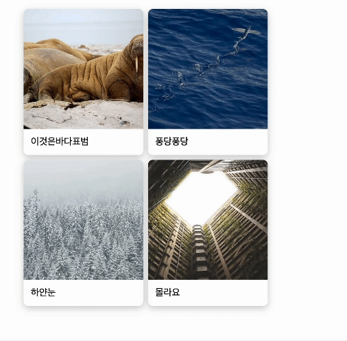 간단한 이미지 갤러리 예시