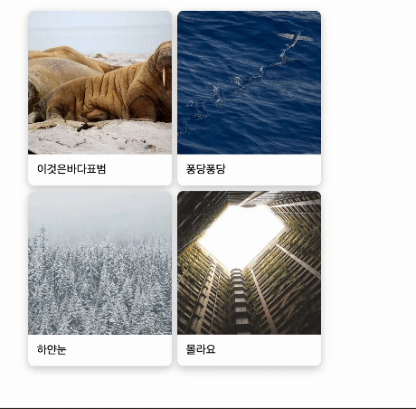 Navigation Bar가 나타나고 사라질 때의 화면